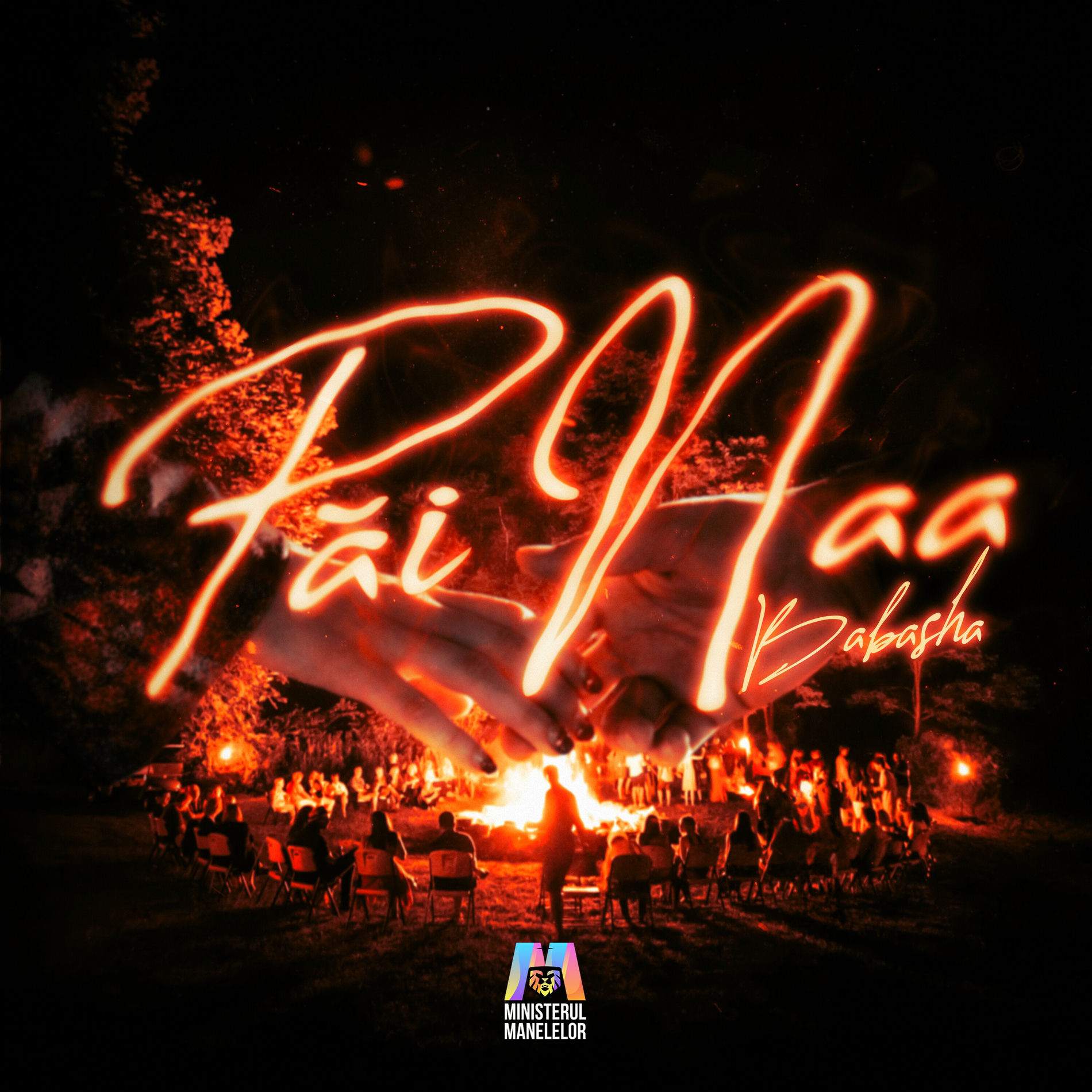Album cover of Păi naa