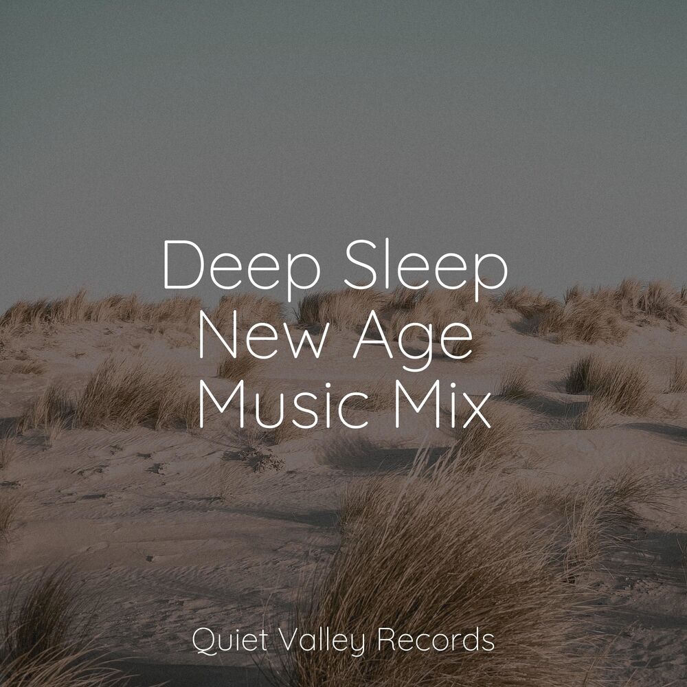 Picture of Deep Sleep New Age Music Mix