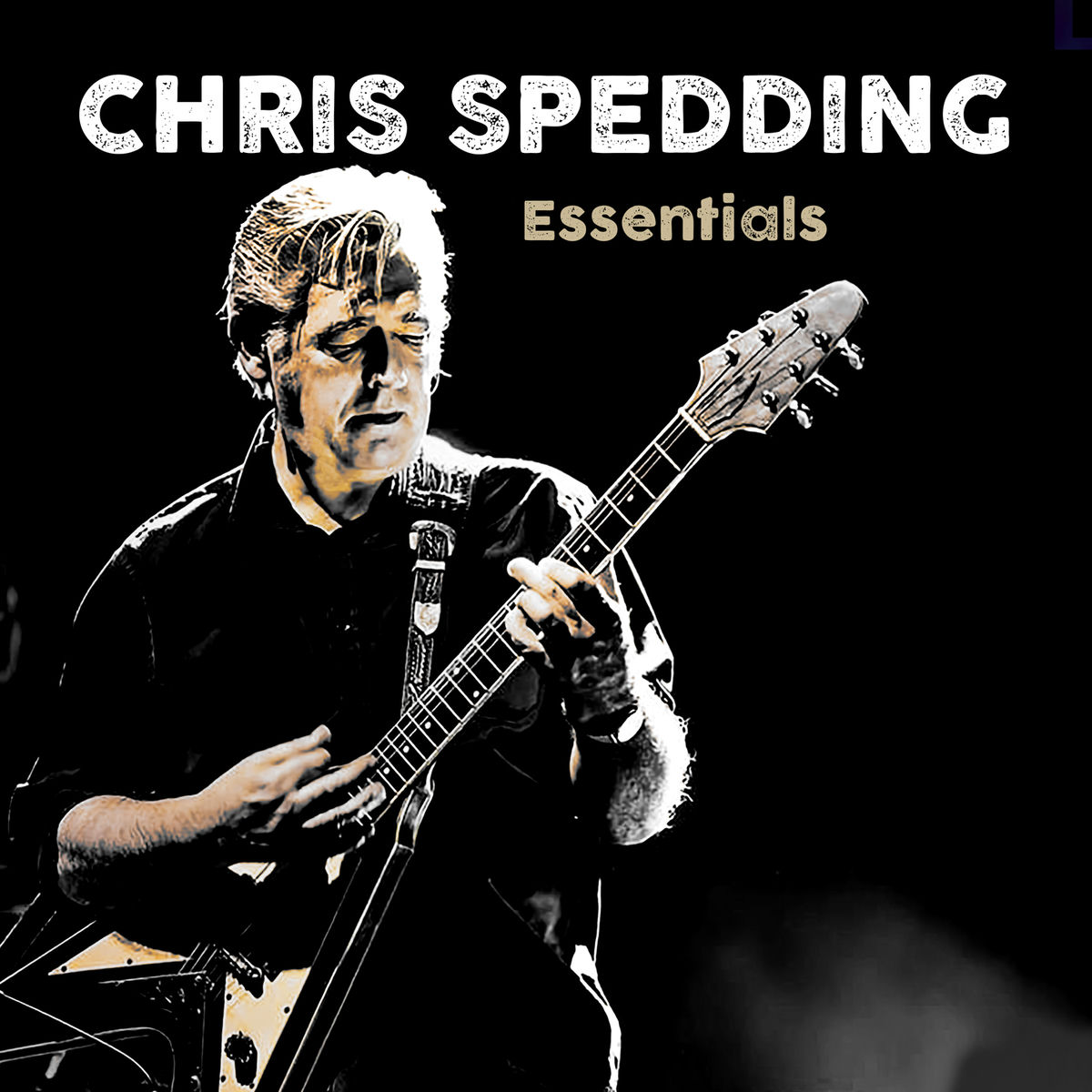Album cover of Essentials