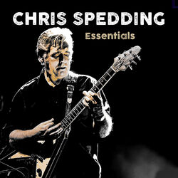 Cover of Essentials
