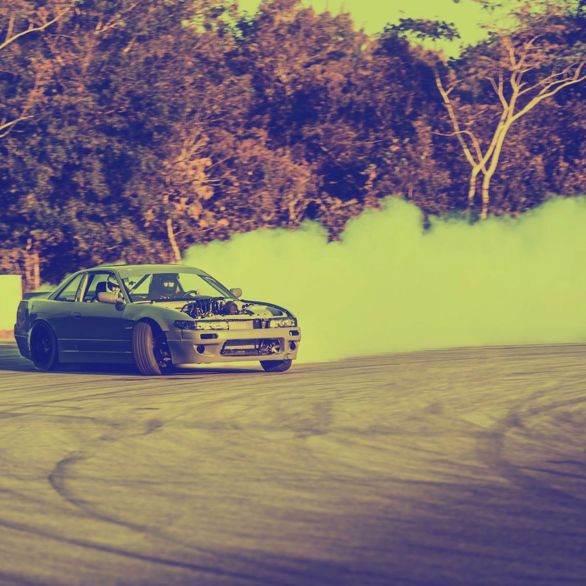 Album cover of SHREKOPHONK