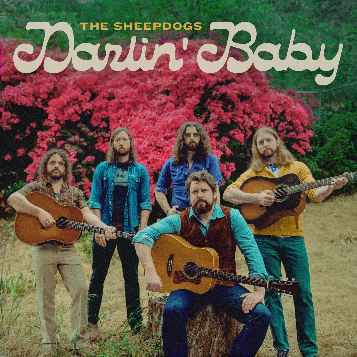 Album cover of Darlin' Baby