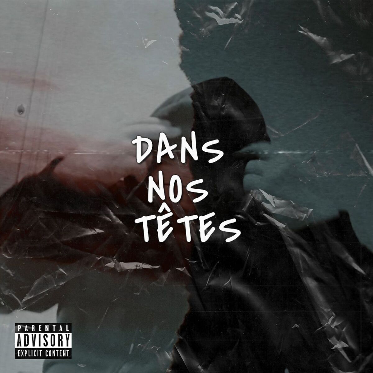 Album cover of Dans nos tetes