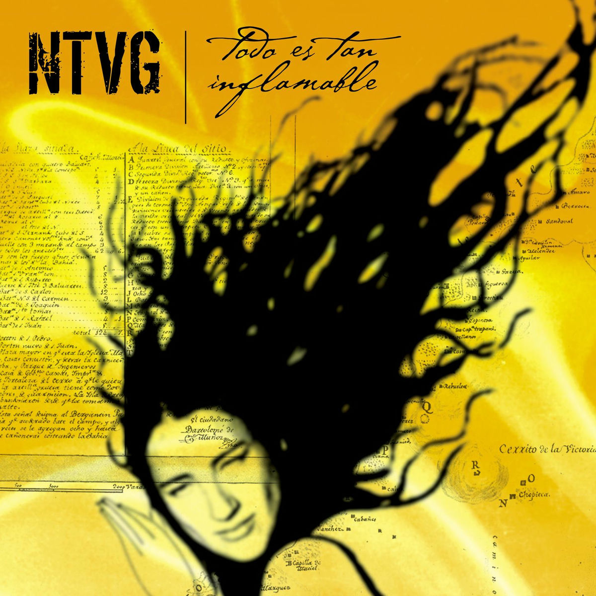 Album cover of Todo es tan inflamable