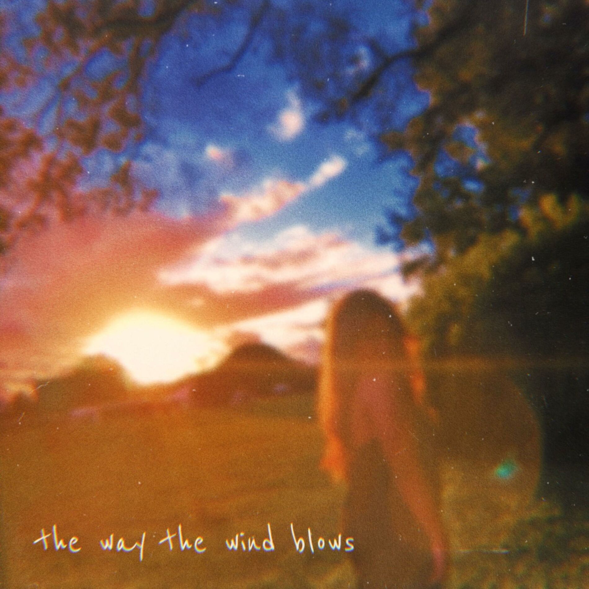 Album cover of The Way the Wind Blows