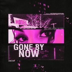 Cover of gone by now