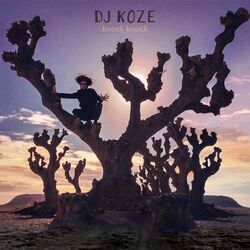 Cover of Knock Knock