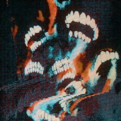 Cover of Skin