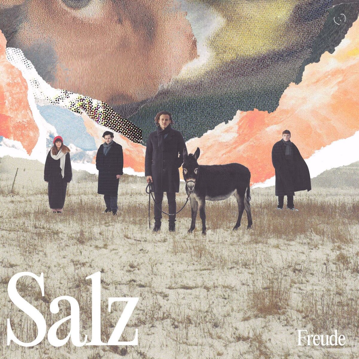 Album cover of Salz