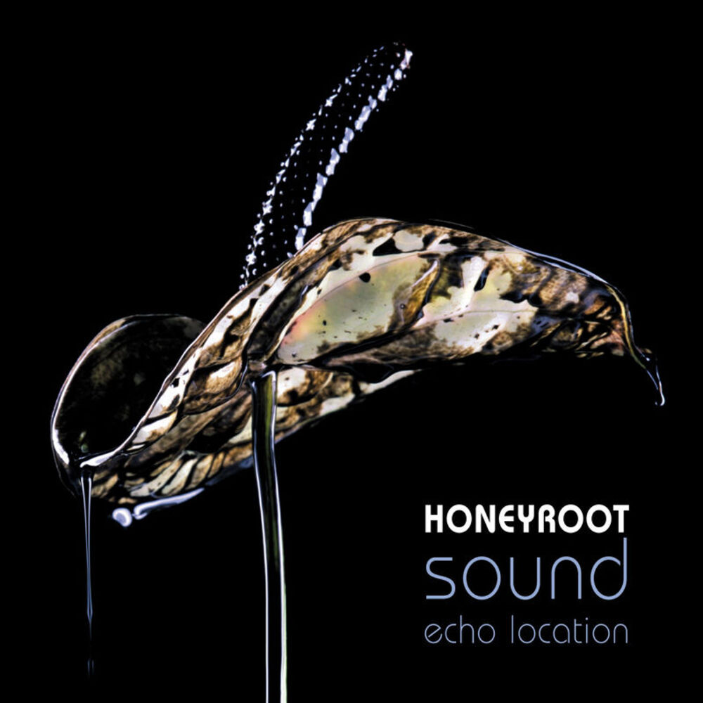 Picture of Sound Echo Location