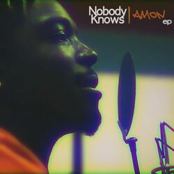Cover of Nobody Knows: Amon