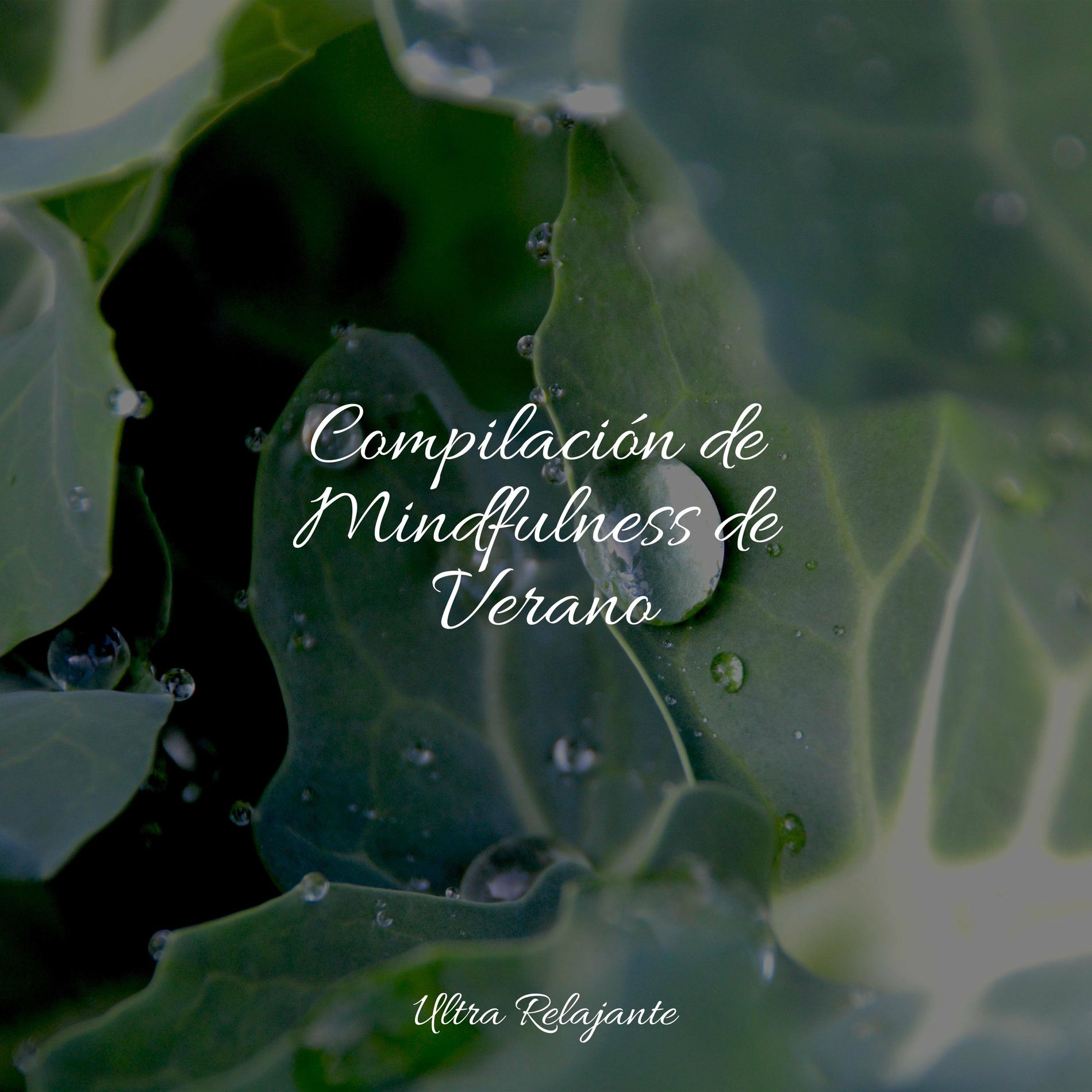 Album cover of Compilación de Mindfulness de Verano