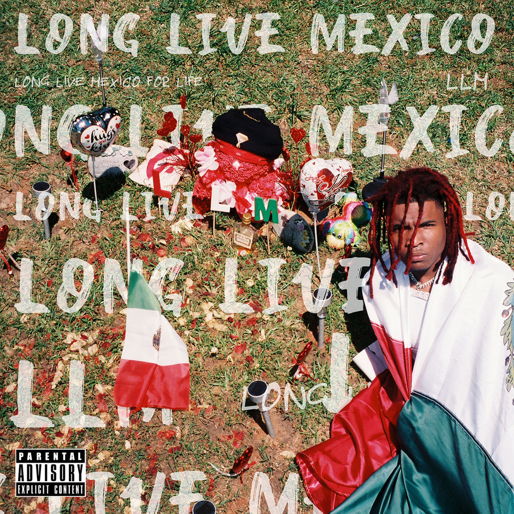 Picture of Long Live Mexico