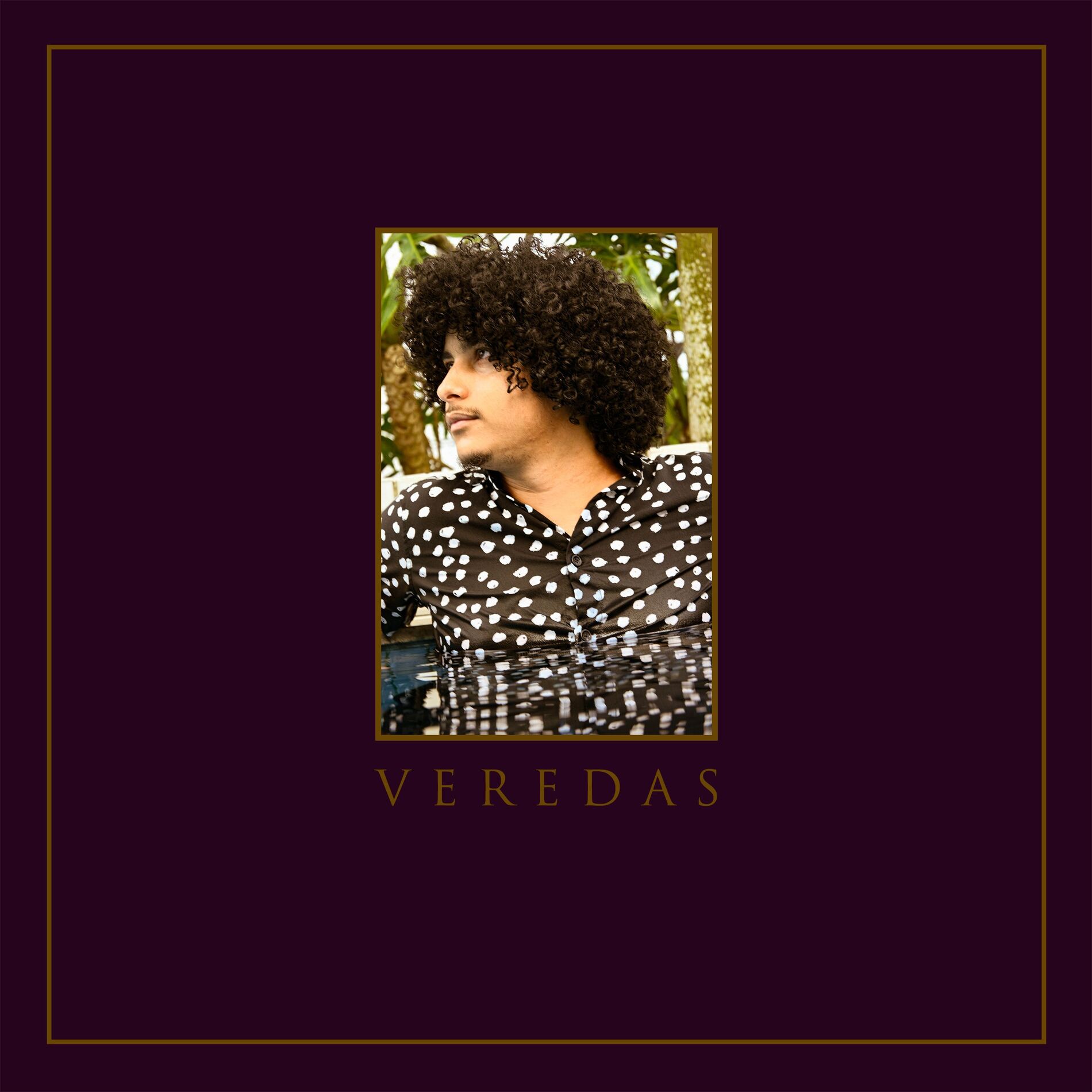 Album cover of Veredas