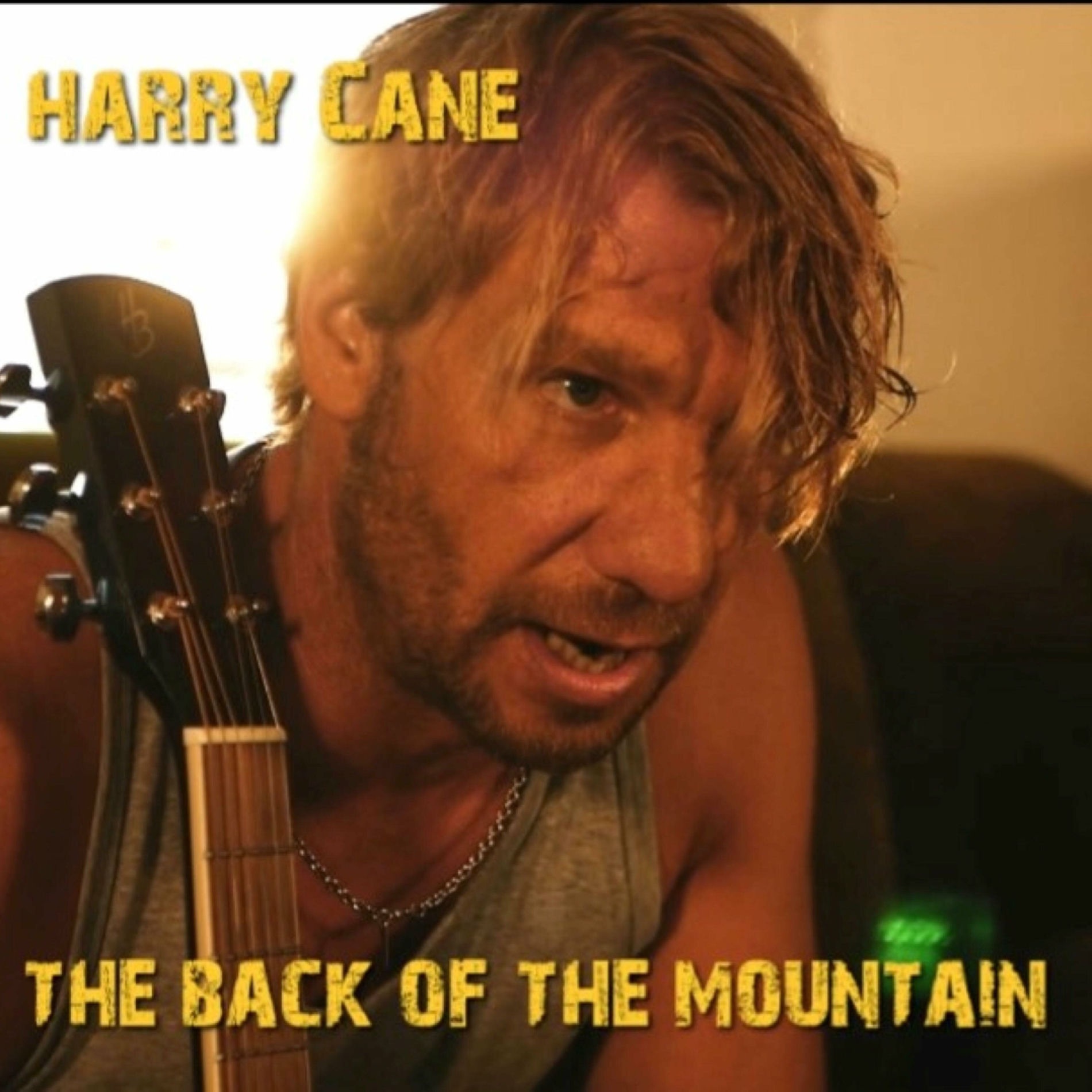 Album cover of THE BACK OF THE MOUNTAIN