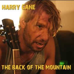 Cover of THE BACK OF THE MOUNTAIN