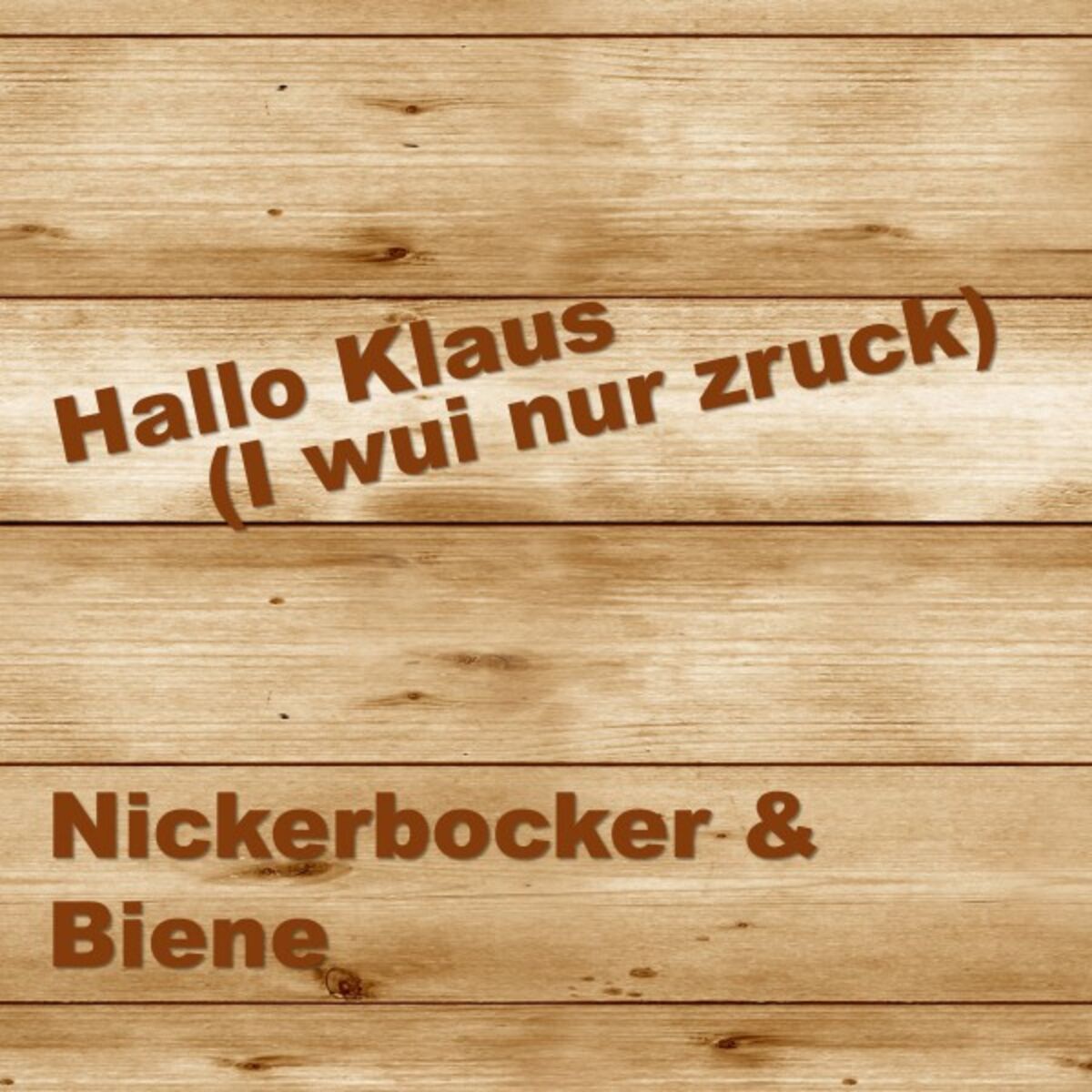 Album cover of Hallo Klaus