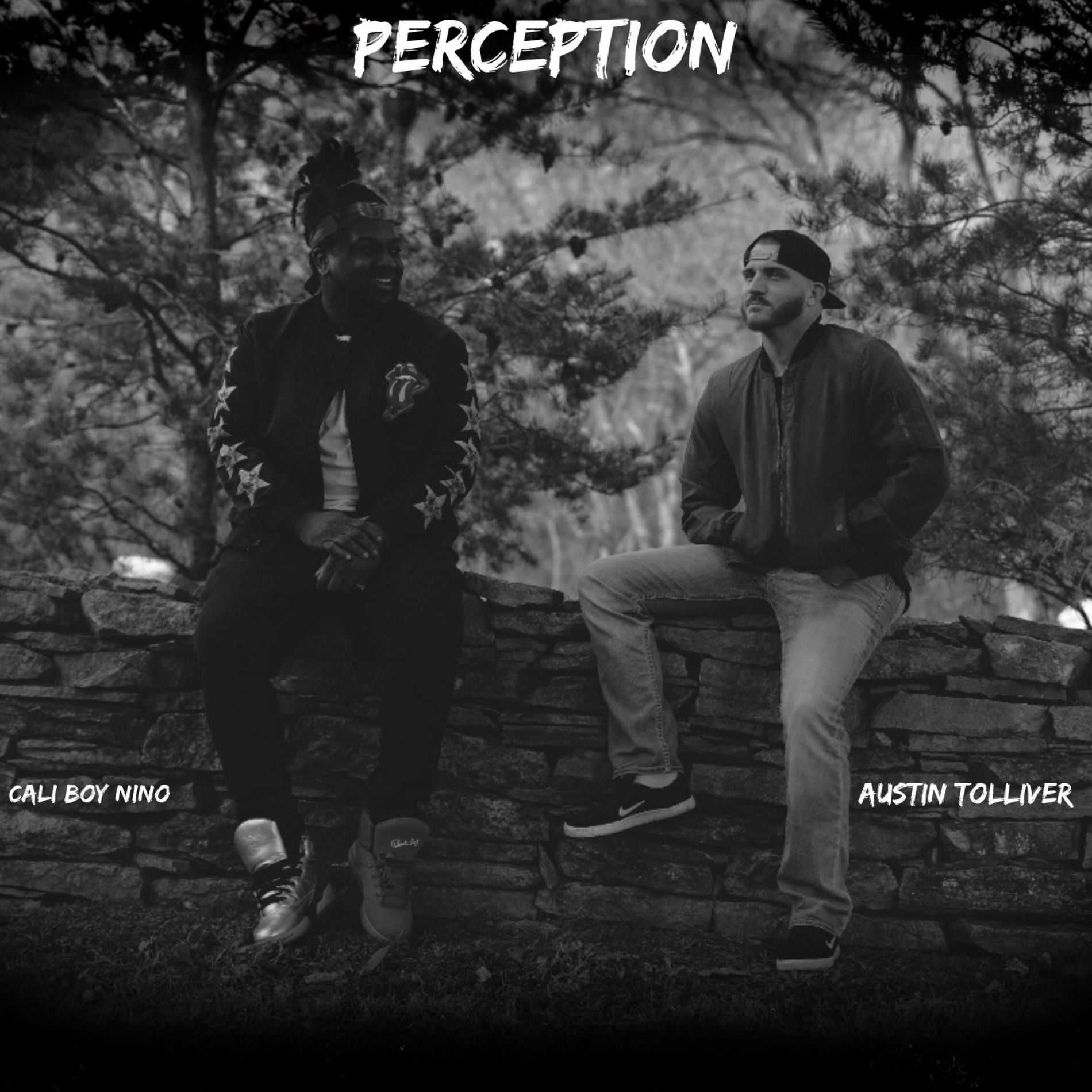 Album cover of Perception