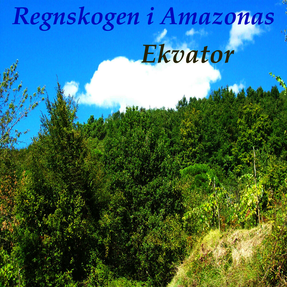Picture of Regnskogen i Amazonas