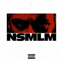 Cover of NSMLM