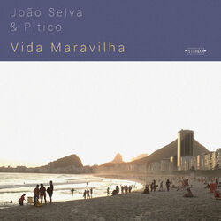 Cover of Vida Maravilha