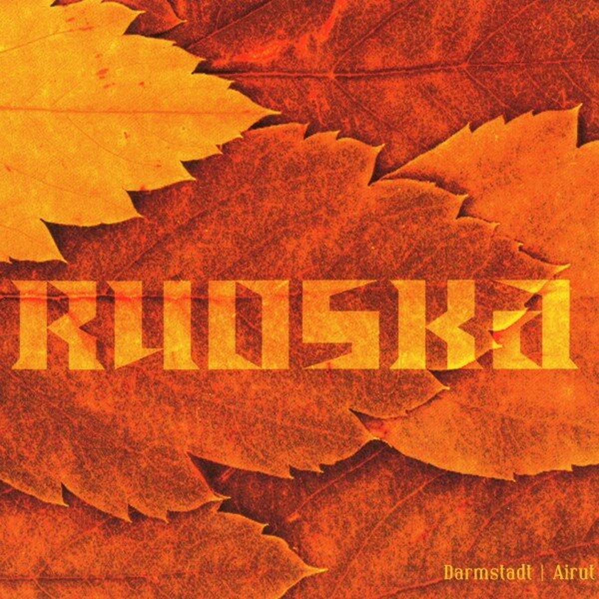Album cover of Darmstadt / Airut