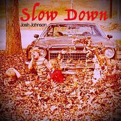 Cover of Slow Down