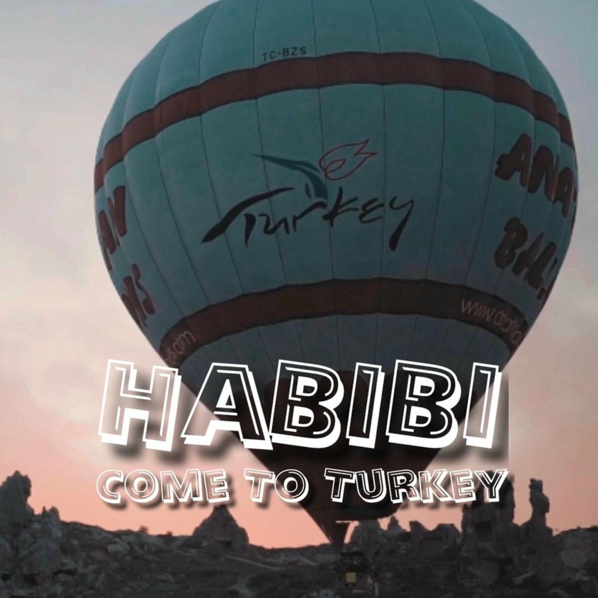 Album cover of Habibi Come To Turkey