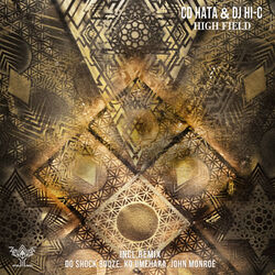 Cover of HIGH FIELD REMIXES