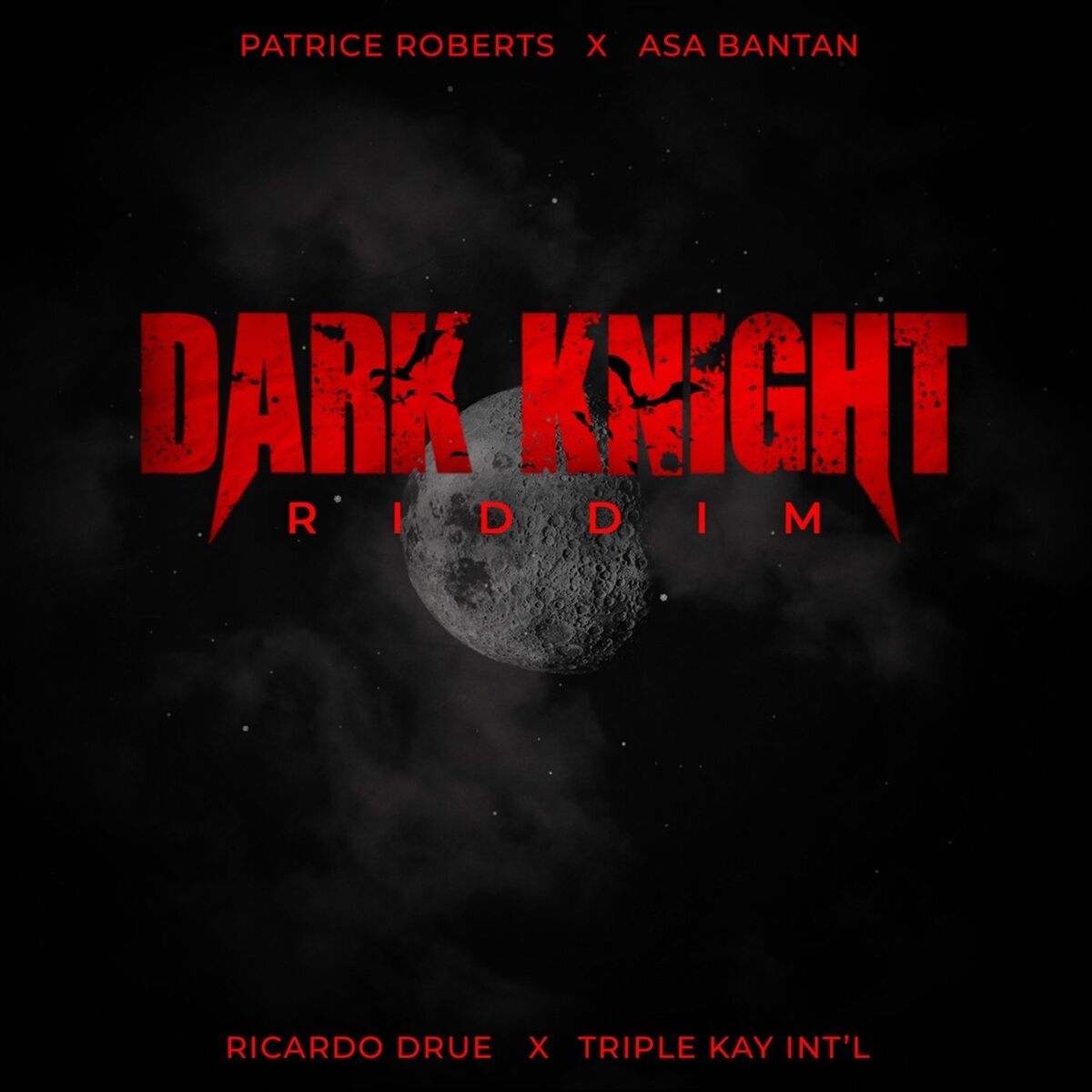 Album cover of Dark Knight Riddim