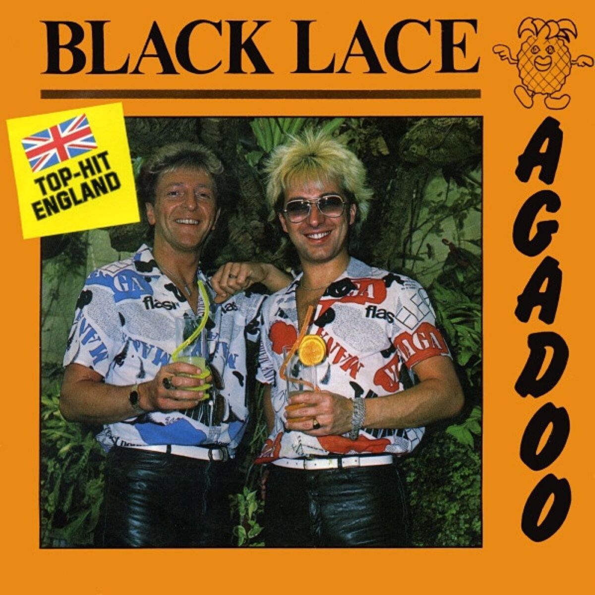Album cover of Agadoo