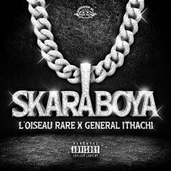 Cover of Skaraboya