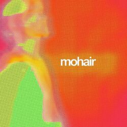 Cover of MOHAIR
