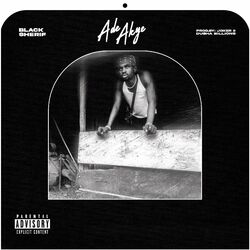 Cover of Ade Akye