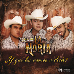 Cover of ¿Y Qué Les Vamos A Decir?