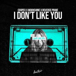 Cover of I Don't Like You