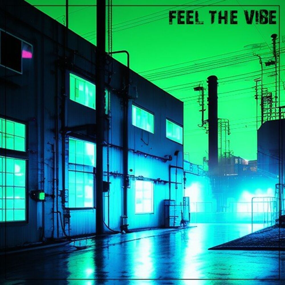 Picture of Feel the Vibe