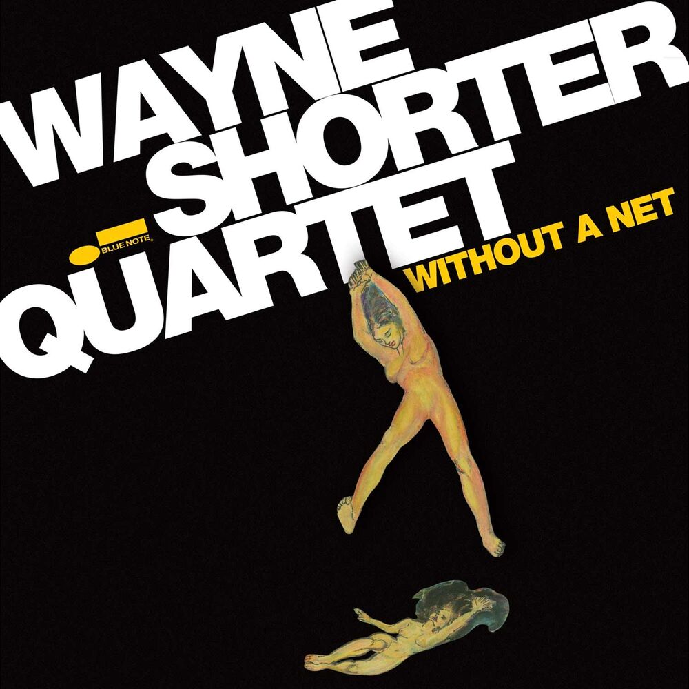 Picture of Without A Net