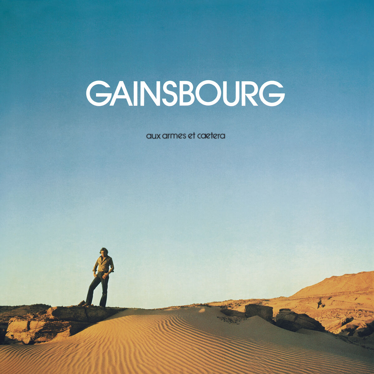 Album cover of Aux armes et caetera