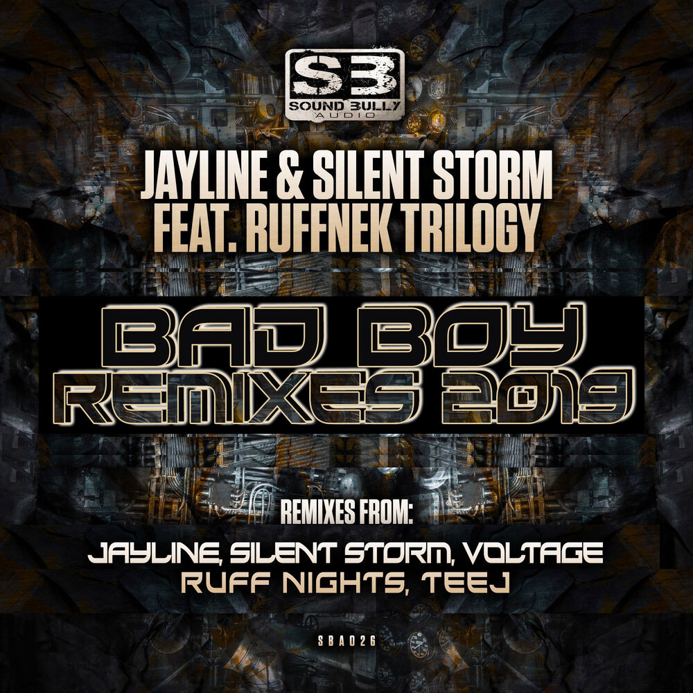 Picture of Bad Boy Remixes 2019