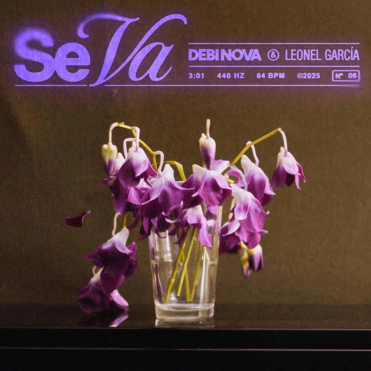 Album cover of Se Va