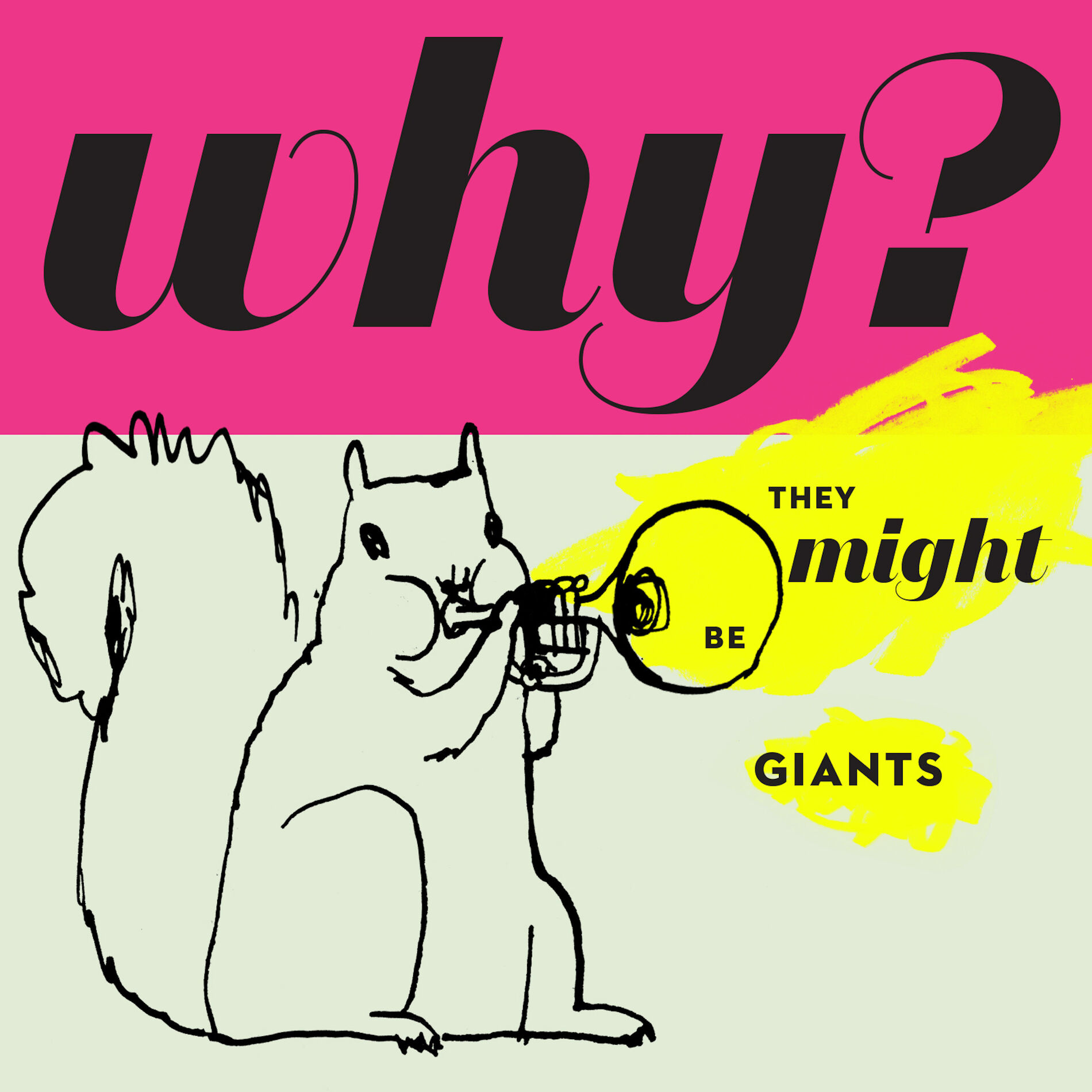 Album cover of Why?