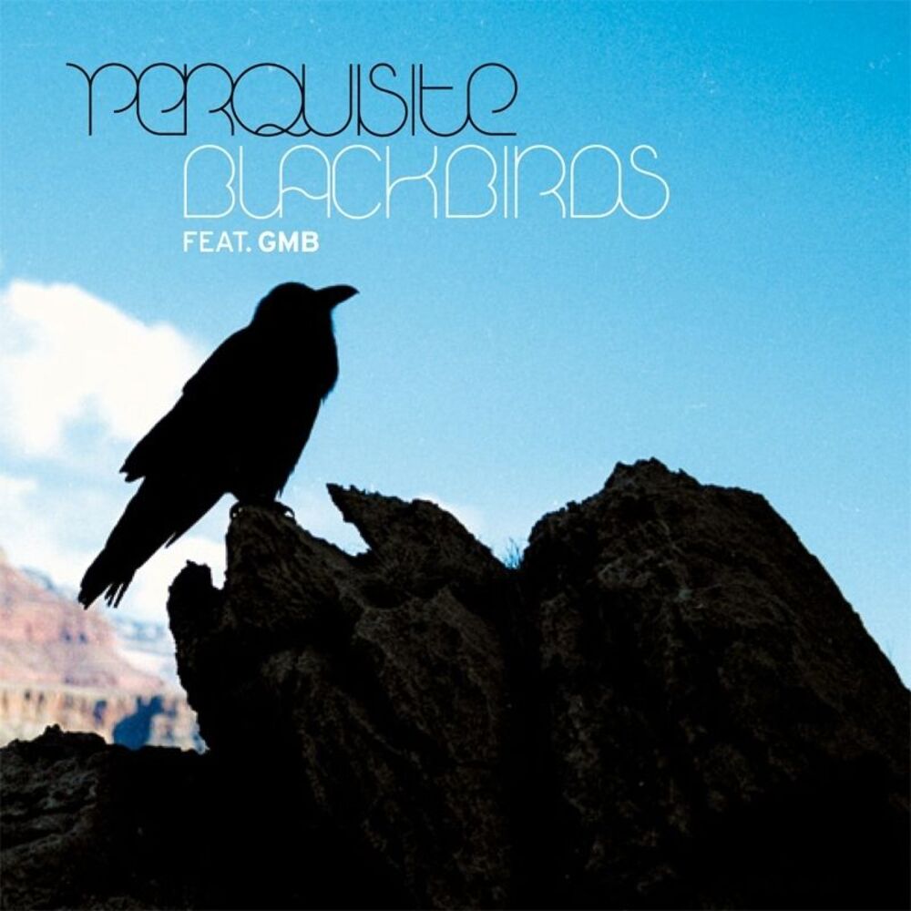 Picture of Blackbirds