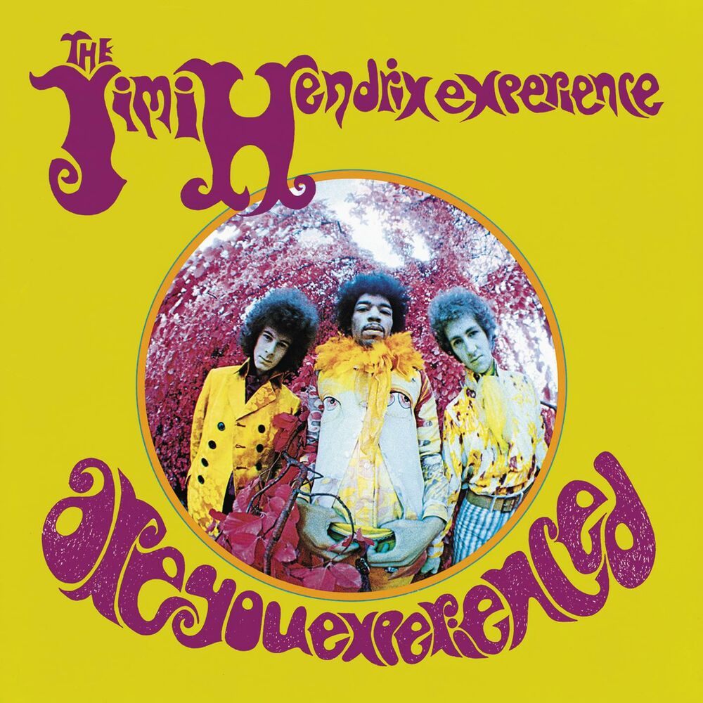 Picture of Are You Experienced