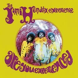 Cover of Are You Experienced