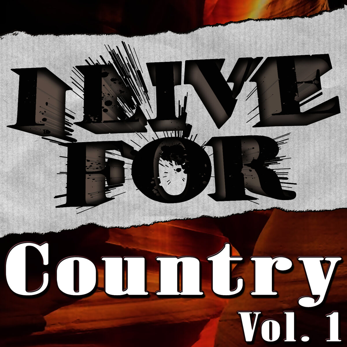 Album cover of I Live For Country Vol. 1