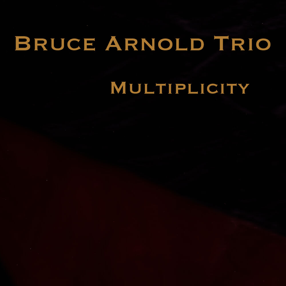 Picture of Multiplicity