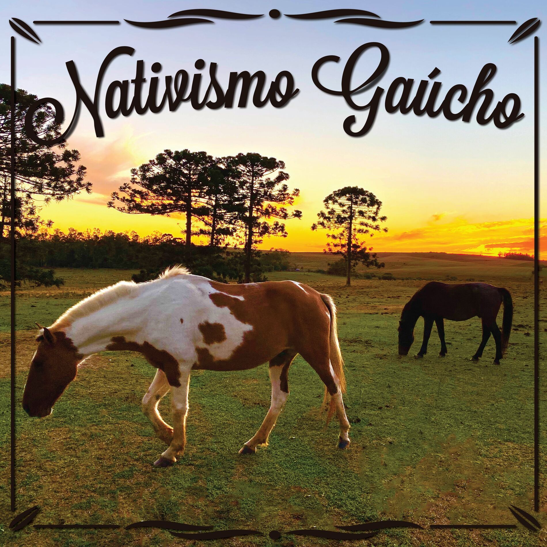 Album cover of Vou me Despedir Cantando