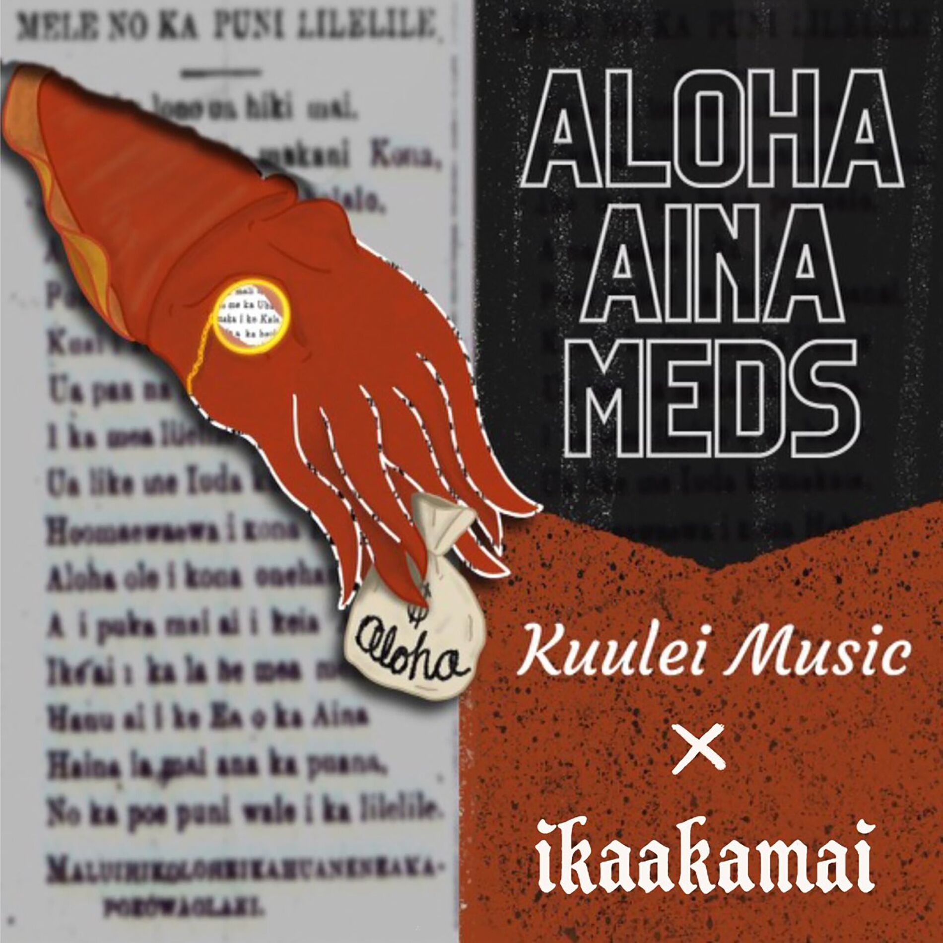 Album cover of Aloha Aina Meds