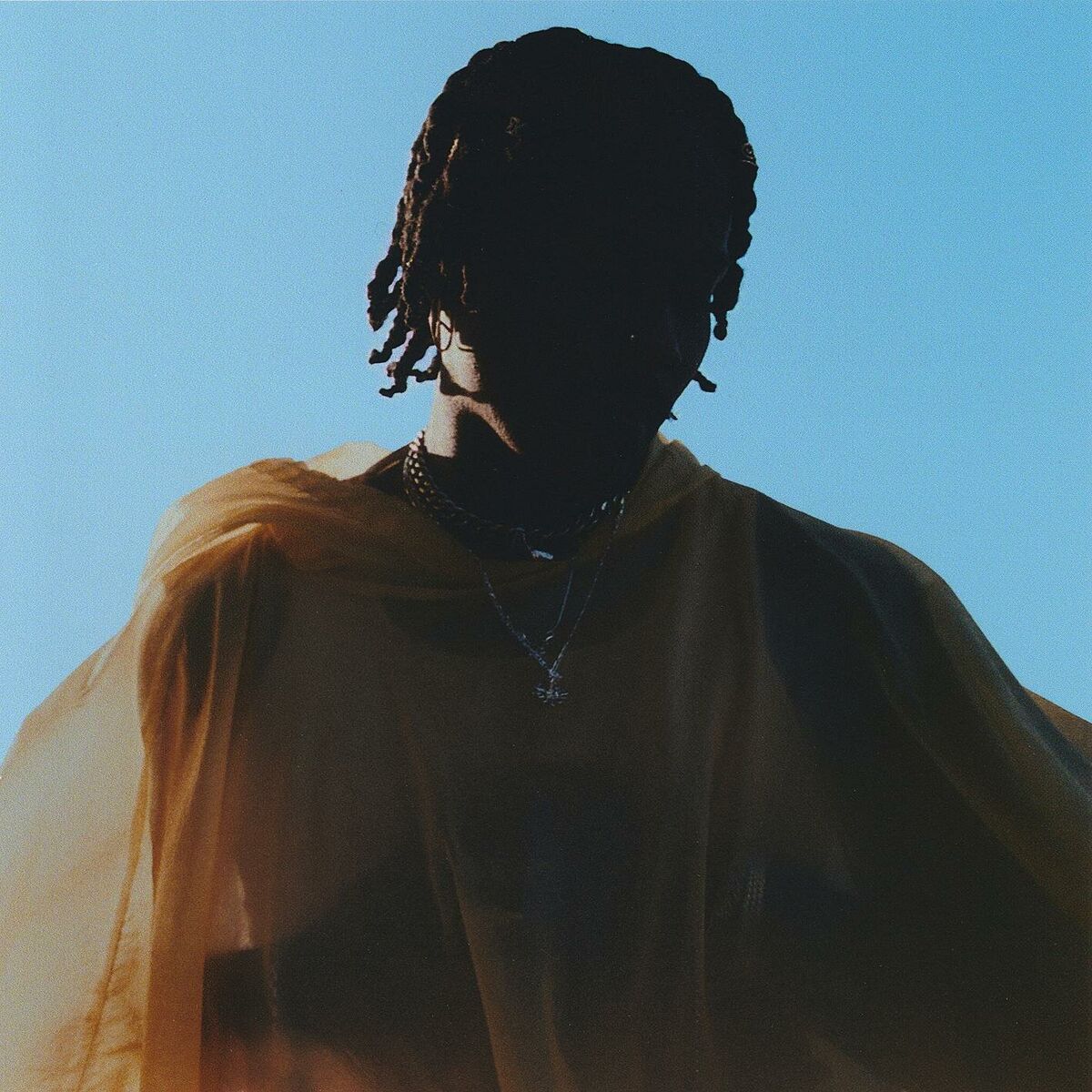 Album cover of Walked In The Room
